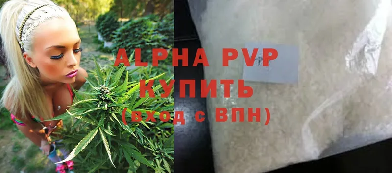 A PVP СК  Гусев 